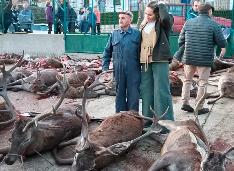 Resultado Montería Los Regajos 2024 Cinegética Luis Tano